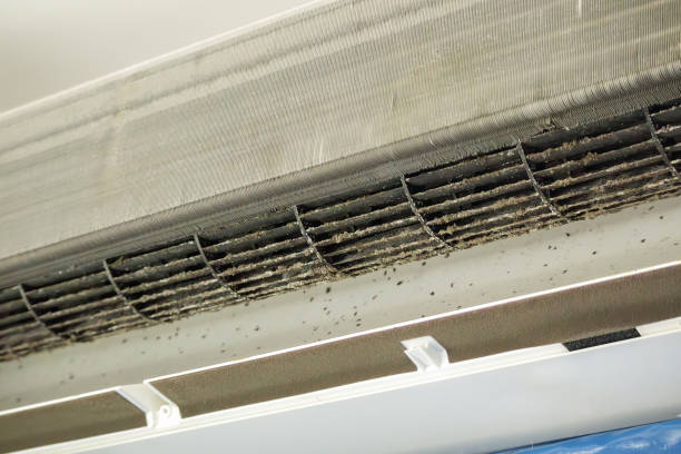 Best Affordable HVAC Duct Cleaning  in Two Harbors, MN